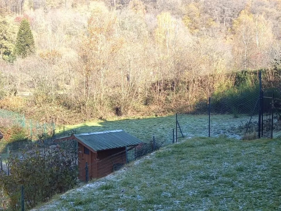 Helårsgrund i Nebbiuno, Novara - foto 2
