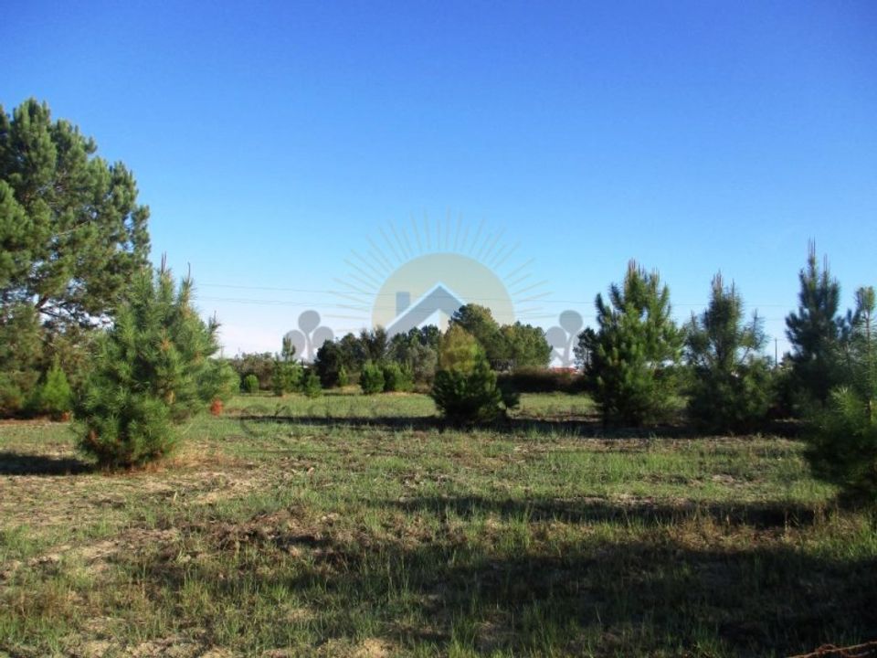 Terra a Vendas Novas, Evora - foto 1