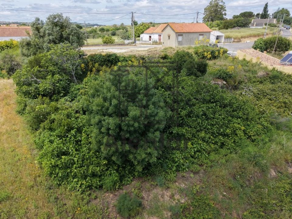 Villa i Alenquer, Lisbon - foto 5