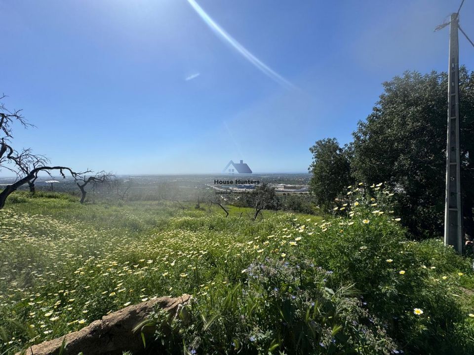 Helårsgrund i Faro, Faro - foto 5