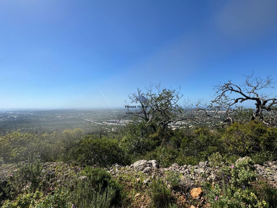 Helårsgrund i Faro, Faro - foto 3