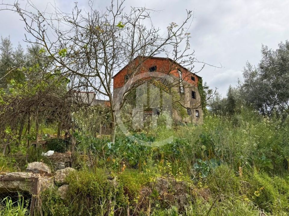 Helårsgrund i Carregal do Sal, Viseu - foto 4