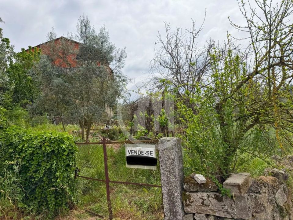 Helårsgrund i Carregal do Sal, Viseu - foto 5