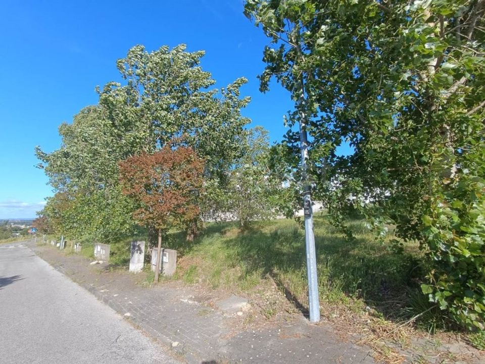 Helårsgrund i Torres Novas, Santarem - foto 5