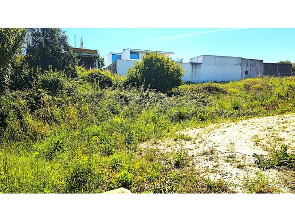 Helårsgrund i Torres Novas, Santarem - foto 3