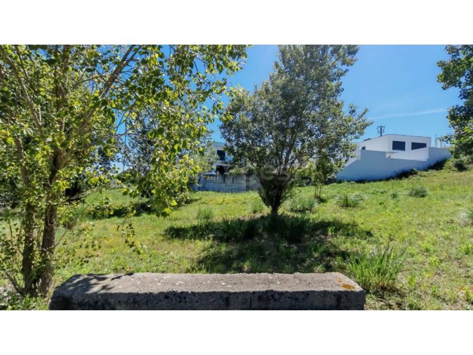 Helårsgrund i Torres Novas, Santarem - foto 5