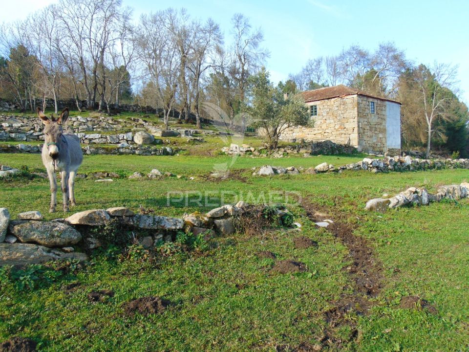 Landejendom i Vila Real, Vila Real - foto 1