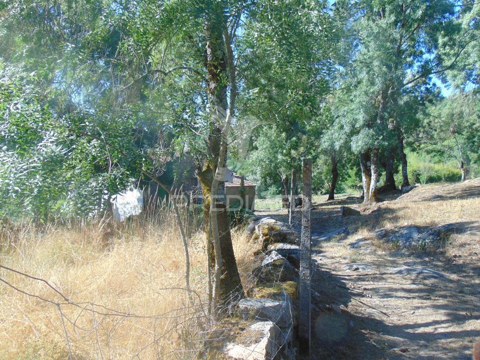 Landejendom i Vila Real, Vila Real - foto 2