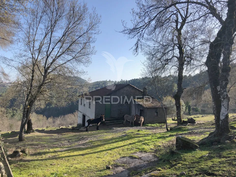Landejendom i Vila Real, Vila Real - foto 3