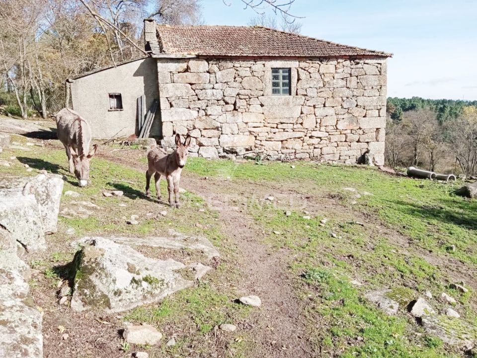Landejendom i Vila Real, Vila Real - foto 5