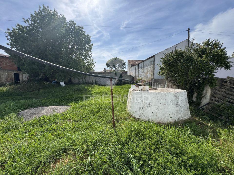 Helårsgrund i Alcobaca, Leiria - foto 4