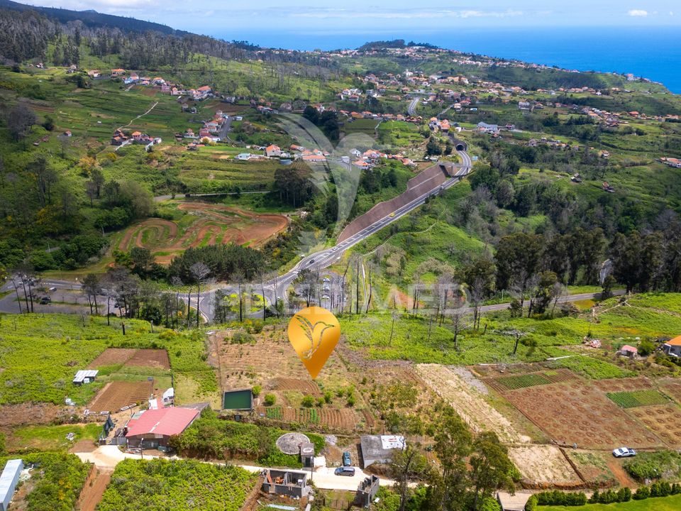 Helårsgrund i Calheta, Madeira - foto 3