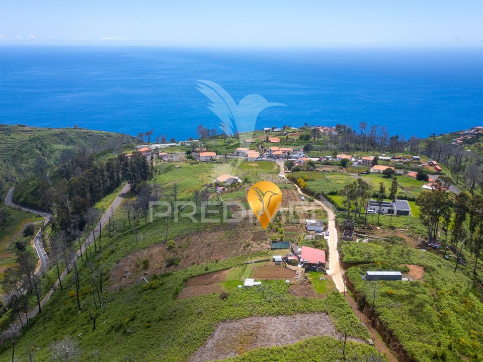 Helårsgrund i Calheta, Madeira - foto 5