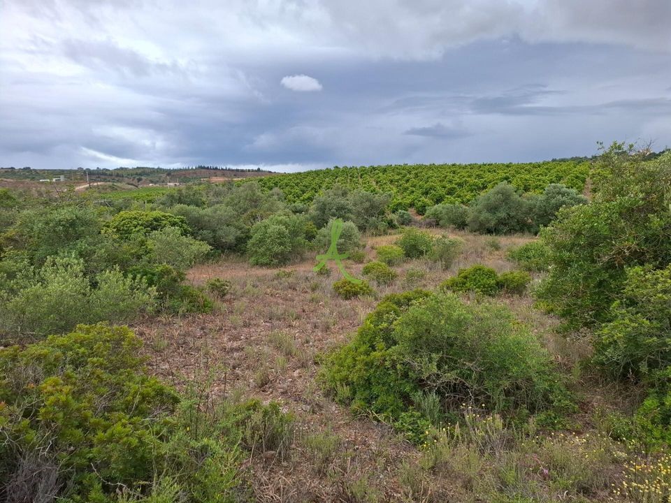 Helårsgrund i Lagoa, Faro - foto 1