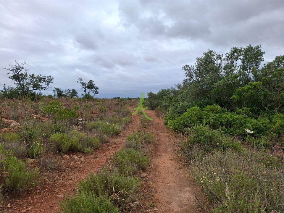 Helårsgrund i Lagoa, Faro - foto 2