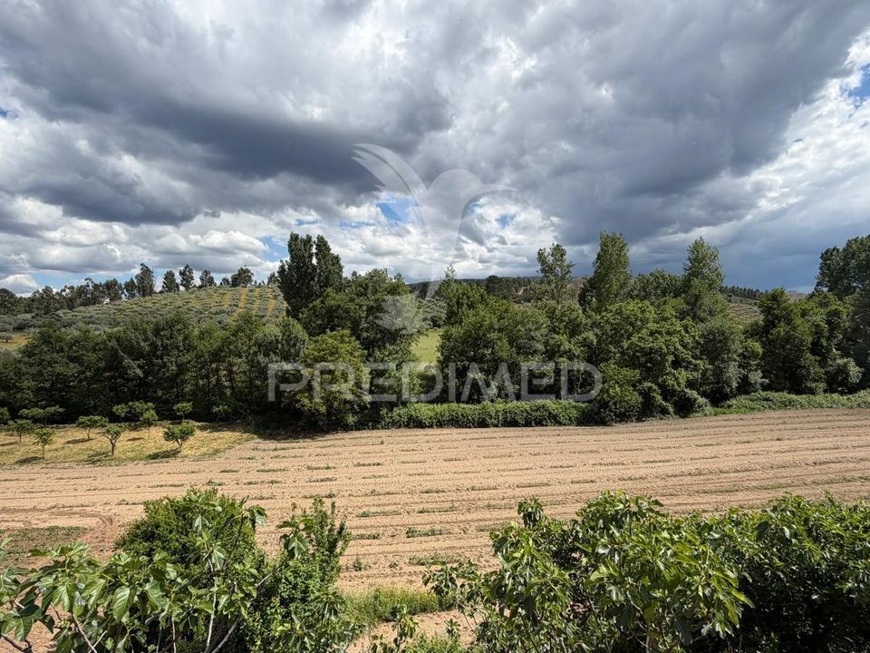 Tomt i Mirandela, Braganca - bilde 1