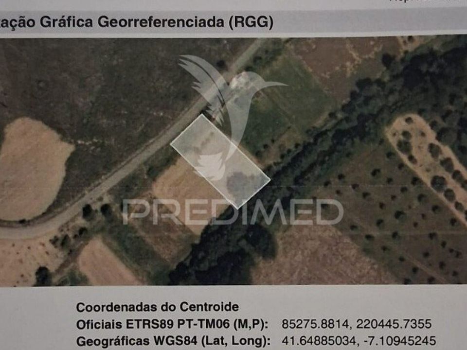 Tomt i Mirandela, Braganca - bilde 3