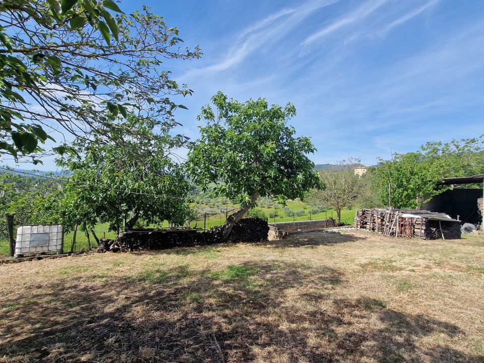Villa i Lugnano in Teverina, Terni - foto 5