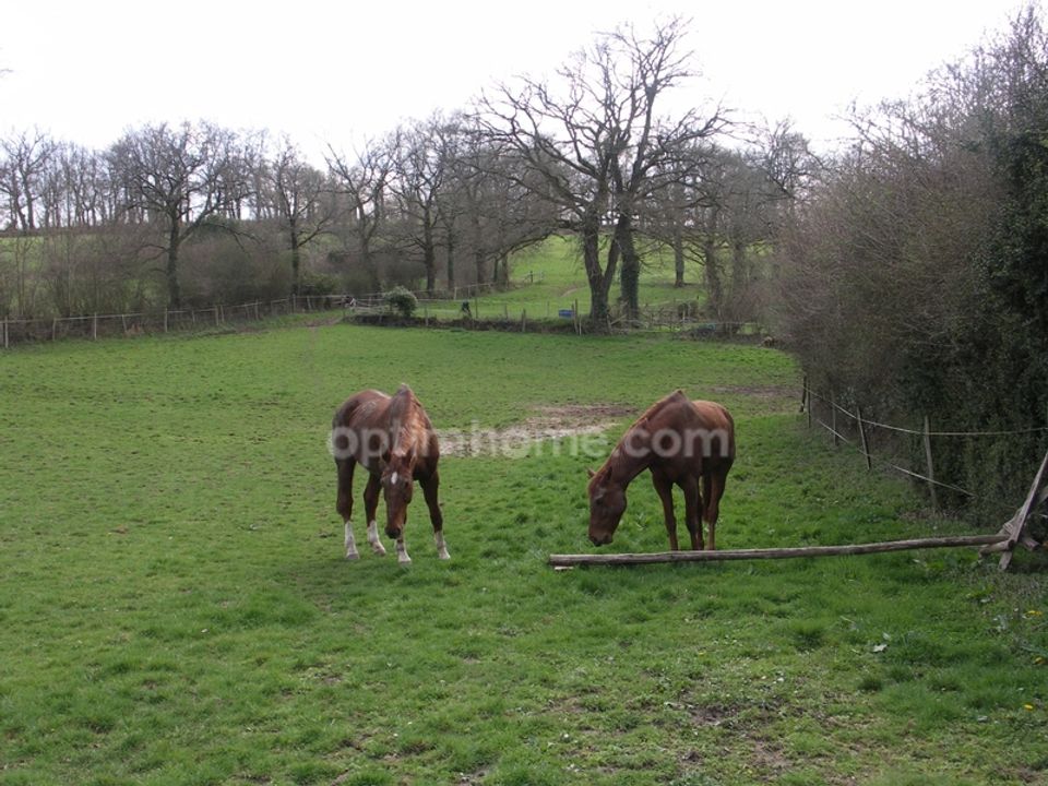 Farm i Bellac, Haute-Vienne - foto 2