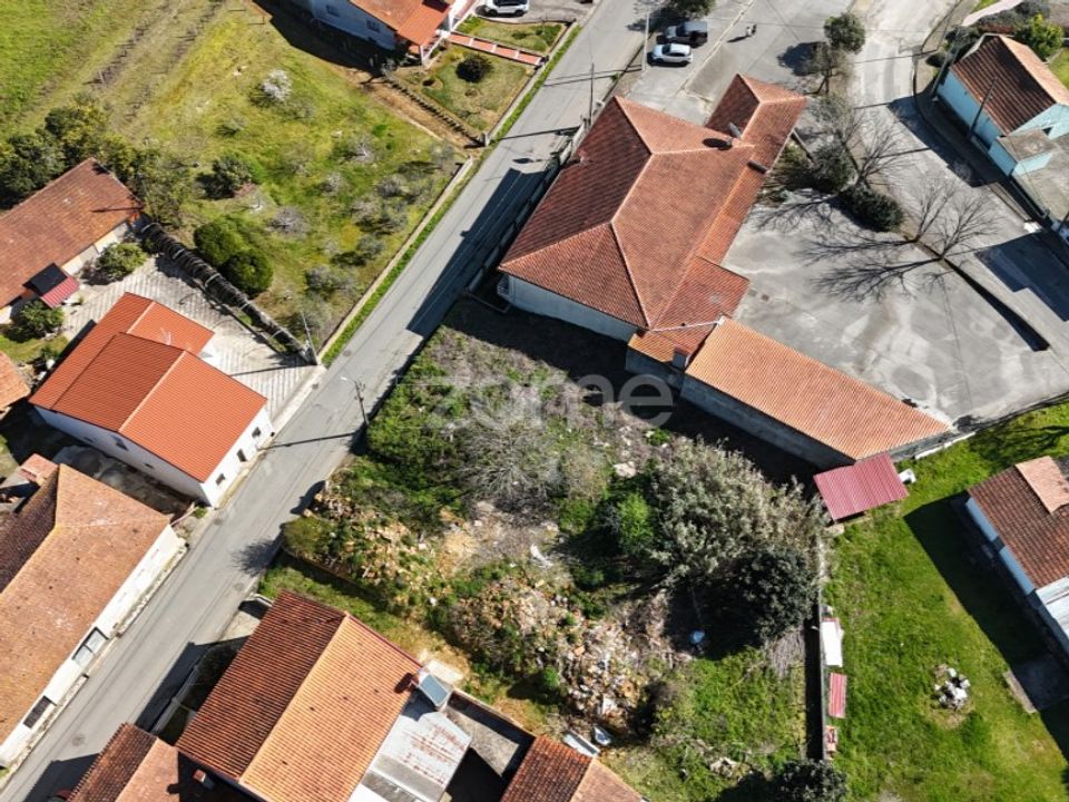 Helårsgrund i Anadia, Aveiro - foto 4