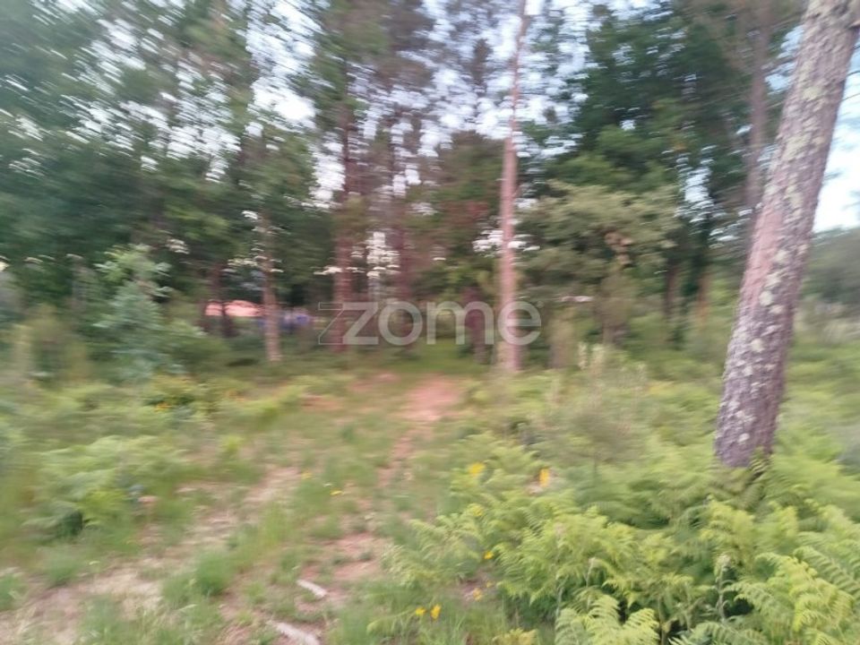 Helårsgrund i Mangualde, Viseu - foto 5