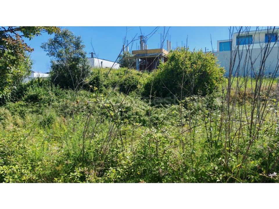 Helårsgrund i Torres Novas, Santarem - foto 2