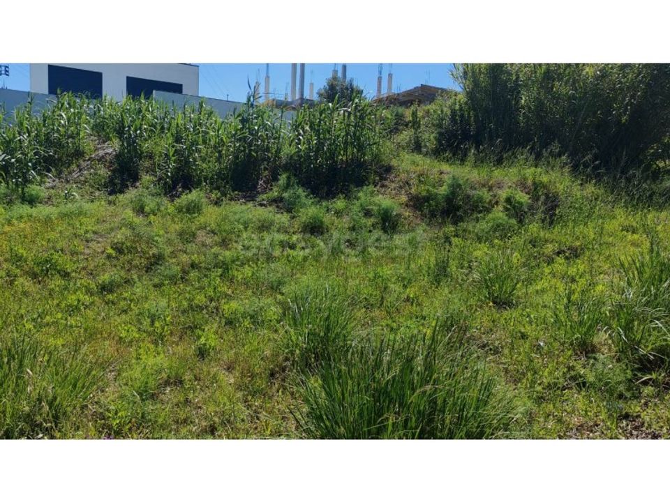 Helårsgrund i Torres Novas, Santarem - foto 3