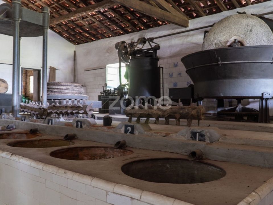 Farm i Miranda do Corvo, Coimbra - foto 3