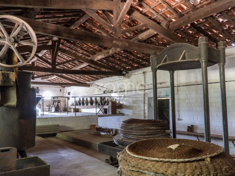 Farm i Miranda do Corvo, Coimbra - foto 4