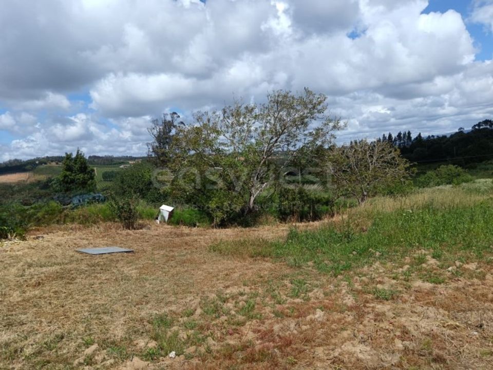 Helårsgrund i Alcobaca, Leiria - foto 2