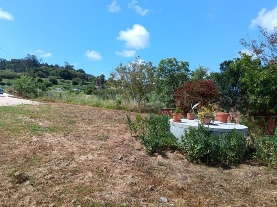 Helårsgrund i Alcobaca, Leiria - foto 3