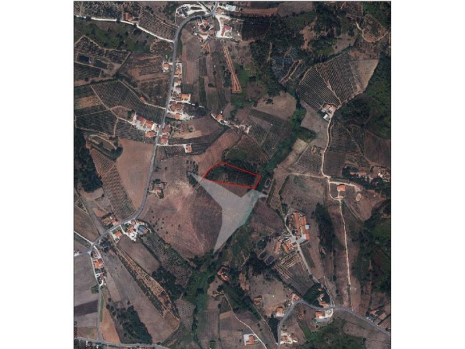 Helårsgrund i Alcobaca, Leiria - foto 4