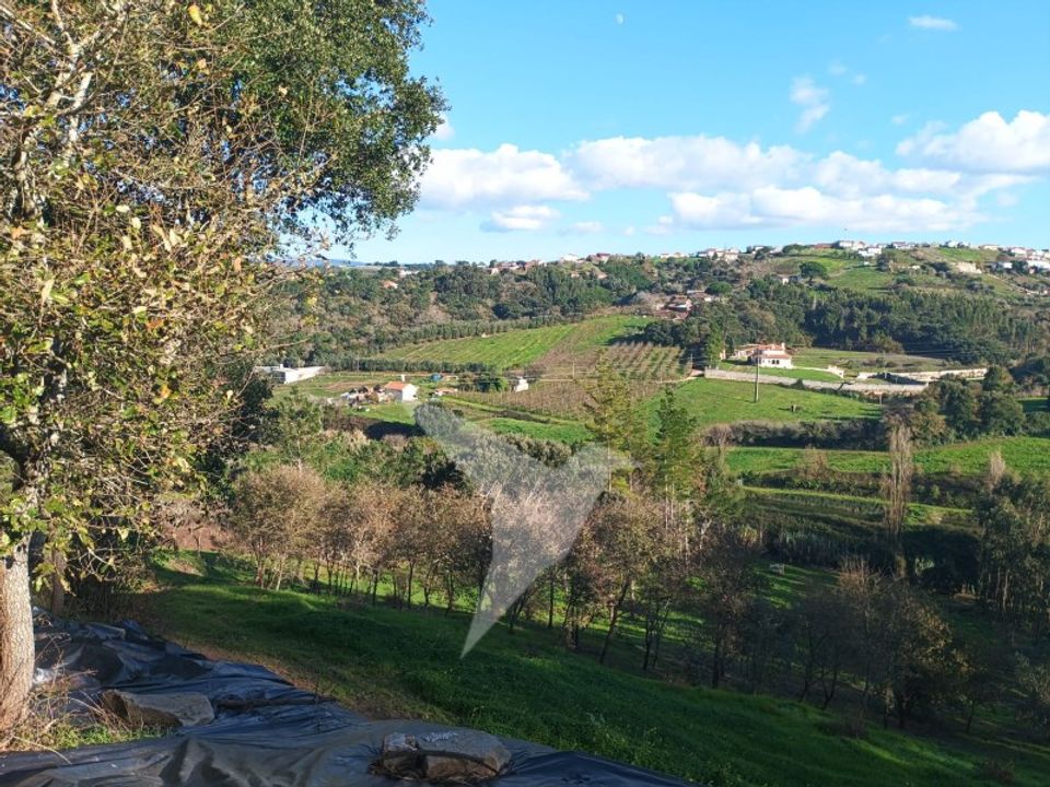Helårsgrund i Alcobaca, Leiria - foto 2