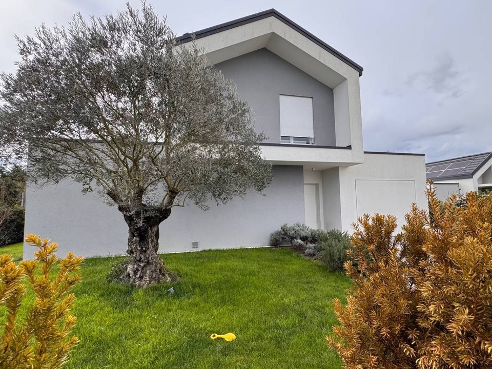 Villa i Treviso, Treviso - foto 1