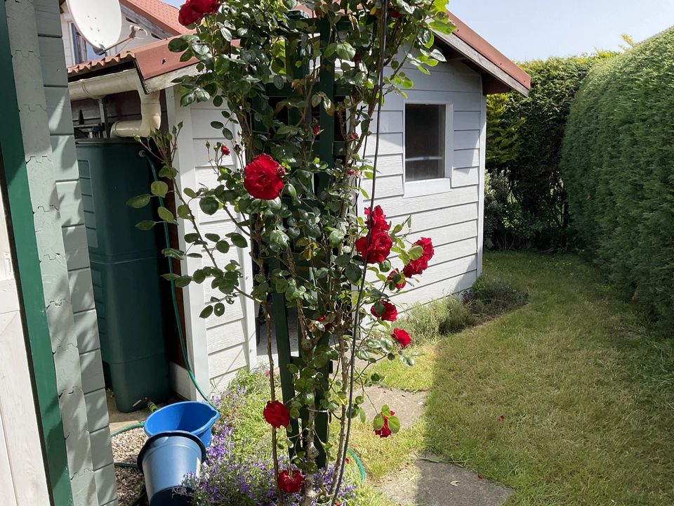 Villa i Rang-du-Fliers, Pas-de-Calais - foto 3