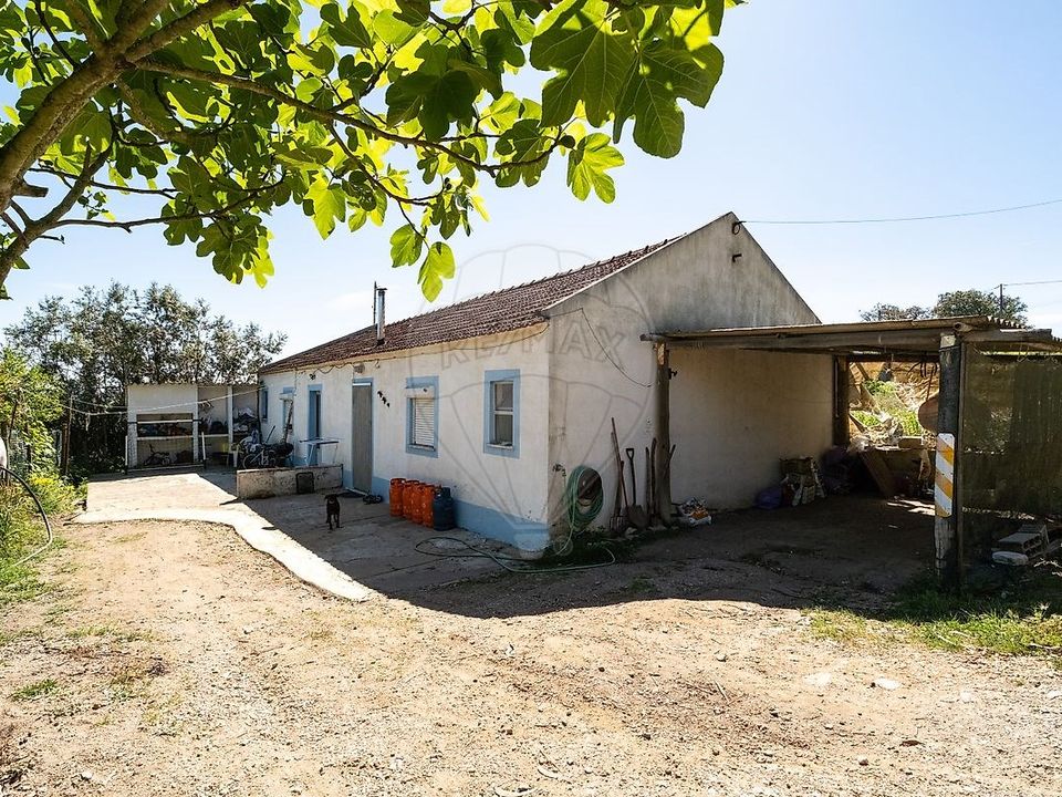 Farm hus i Santiago do Cacem, Setubal - foto 4