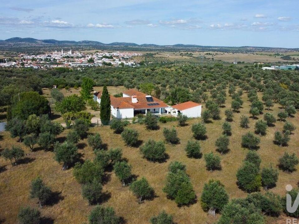 Boerderij in Crato, Portalegre - foto 4