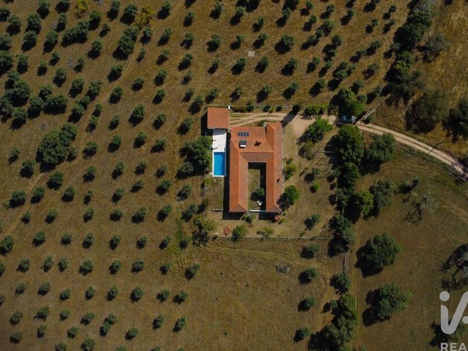 Boerderij in Crato, Portalegre - foto 5