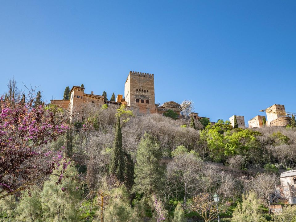 Erhvervsejendom i Granada, Granada - foto 1