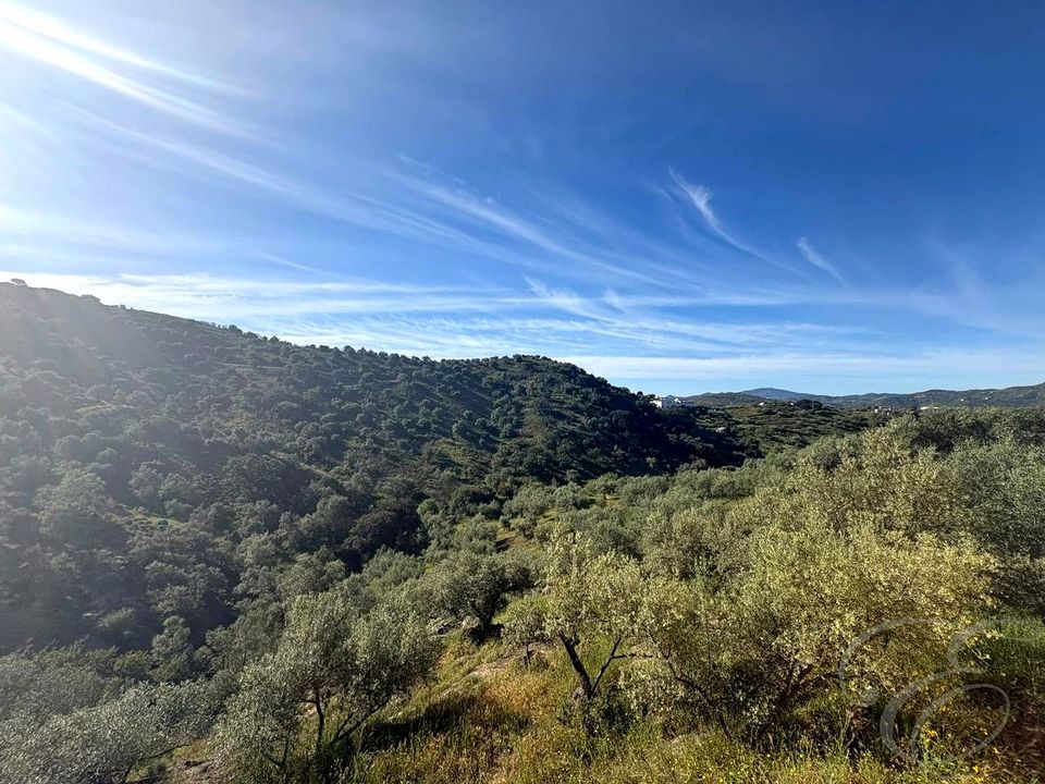 Helårsgrund i Riogordo, Malaga - foto 2