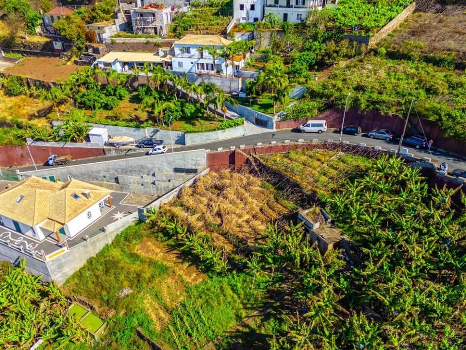 Helårsgrund i Camara de Lobos, Madeira - foto 5