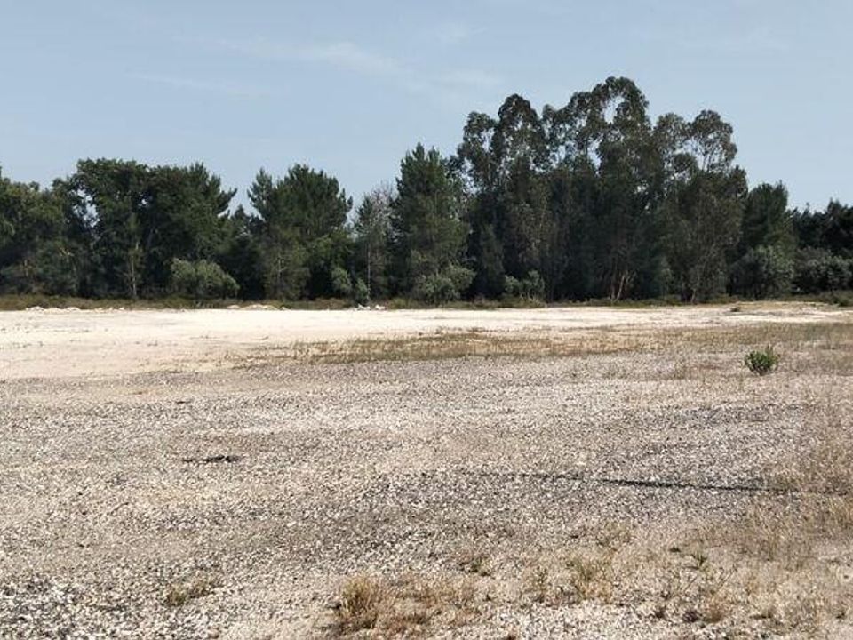Helårsgrund i Almeirim, Santarem - foto 4