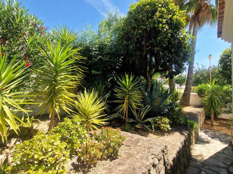 Villa i Jalon, Alicante - foto 2