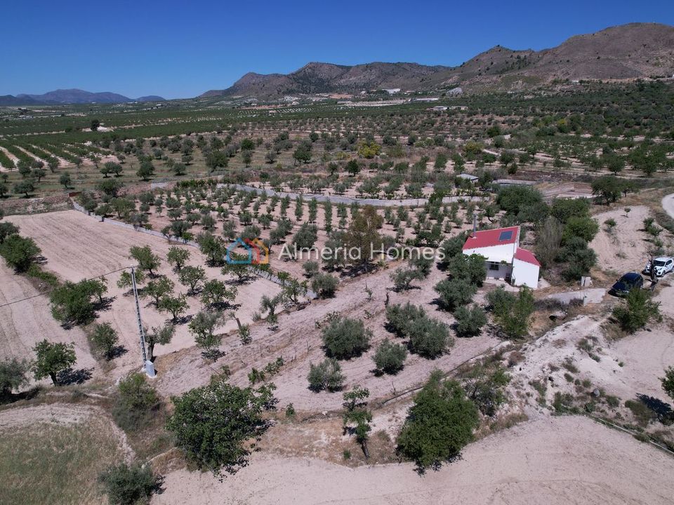 Landejendom i Oria, Almeria - foto 3