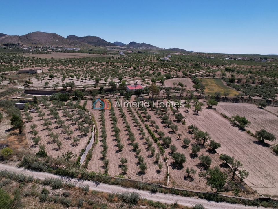 Landejendom i Oria, Almeria - foto 4