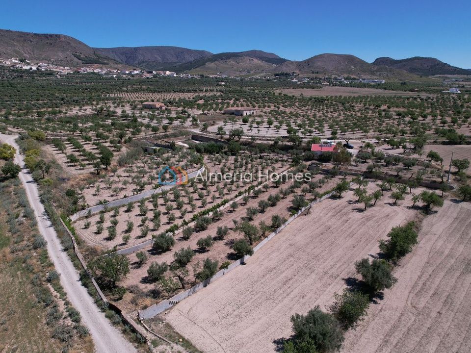Landejendom i Oria, Almeria - foto 5