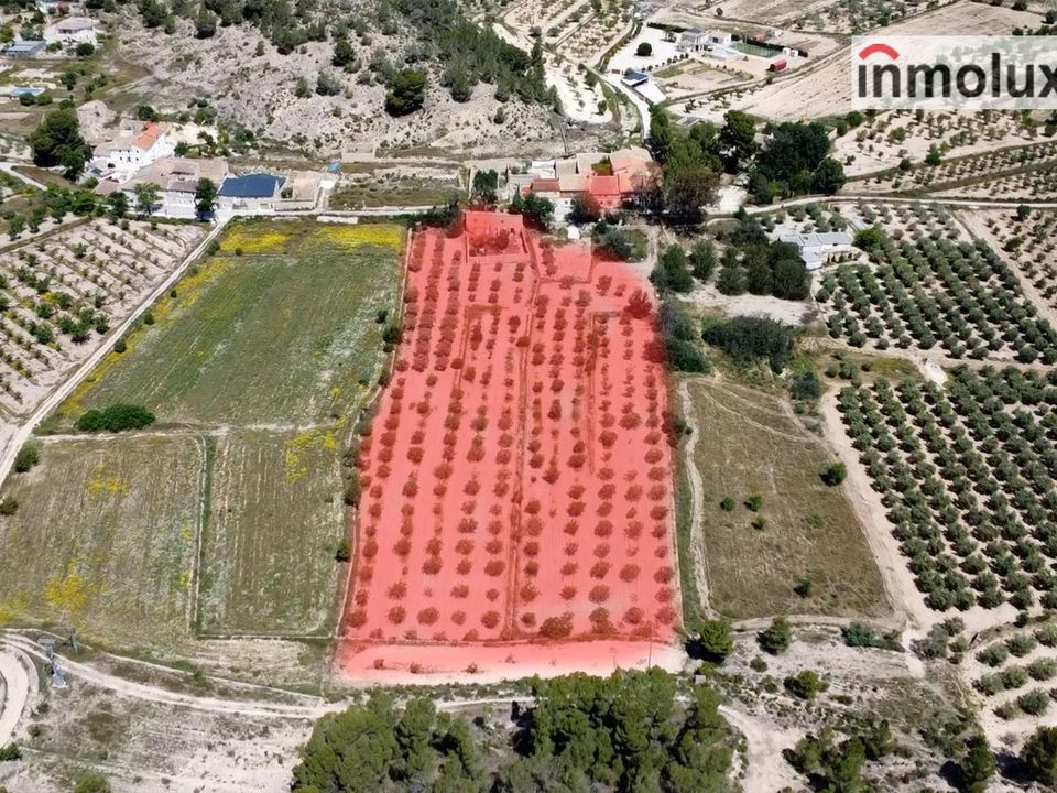 Villa i Monovar, Alicante - foto 3