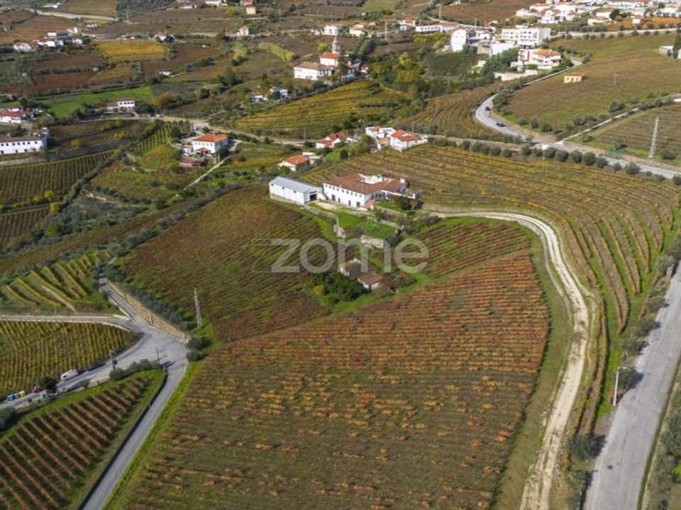 Farm i Fontelas, Vila Real - foto 2