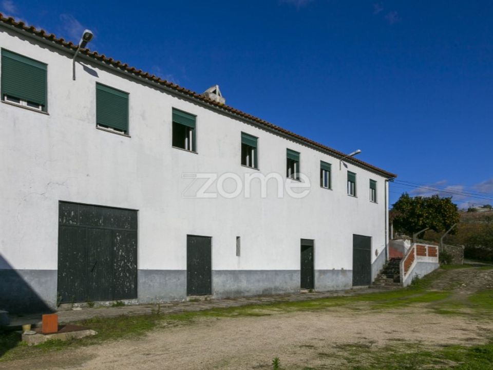Farm i Fontelas, Vila Real - foto 4
