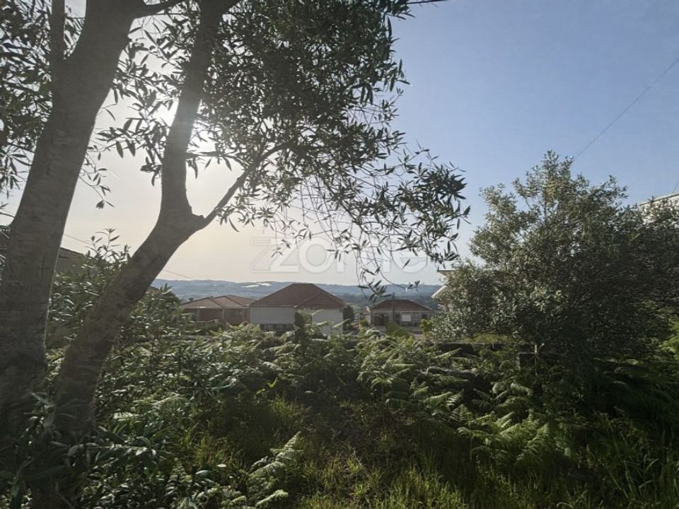 Helårsgrund i Amarante, Porto - foto 3
